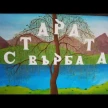 Ресторант Старата върба